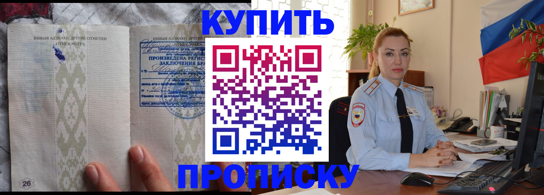 прописка поиск в Заинске